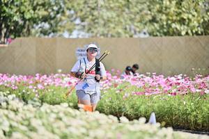 BIB: 
                            <button type="button" onclick="openModal(27802987)" class="btn btn-primary btn-sm float-right btn-popup" data-toggle="modal" data-target=".modal-high-quality">
                        <i class="fas fa-shopping-cart"></i> Add to Cart
                    </button>
                                            <button type="button" onclick="isThisMe(27802987, true)" class="btn btn-success btn-sm float-right btn-popup btn-isme hidden" data-toggle="tooltip" data-placement="bottom" title="นี่คือรูปของคุณใช่ไหม คลิกที่นี่เพื่อเอาเข้าอัลบั้ม">
                        <i class="fas fa-plus"></i> Add to album
                    </button>
                    <button type="button" onclick="isThisMe(27802987, false)" class="btn btn-warning btn-sm float-right btn-popup btn-isnotme hidden">
                        <i class="fas fa-ban"></i> Remove from album
                    </button>